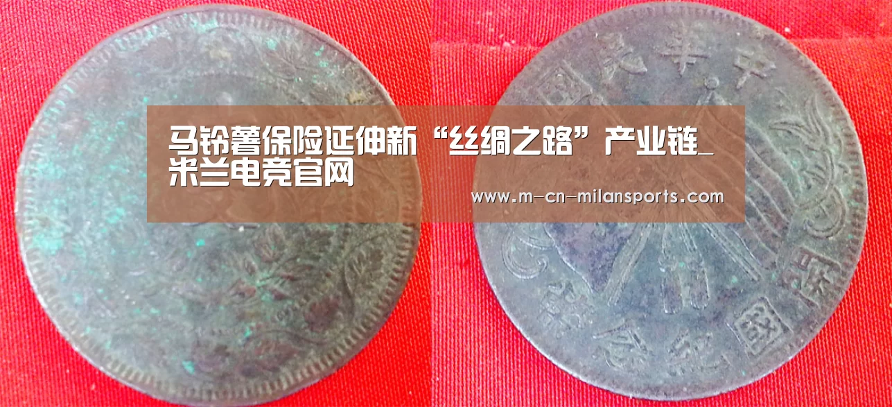 马铃薯保险延伸新“丝绸之路”产业链_米兰电竞官网(图3) 米兰电竞官网